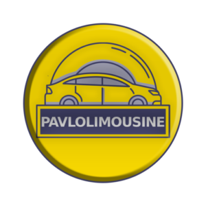 فوائد اختيار بافلو ليموزين لخدمات النقل بين مطار البرج والإسكندرية